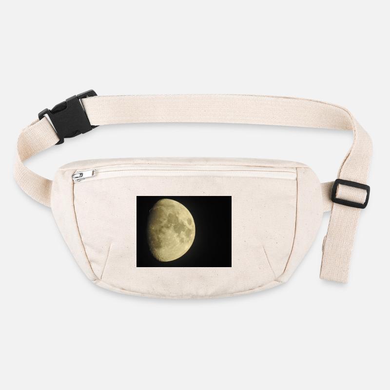 Stanley/Stella recycled Hip Bag 