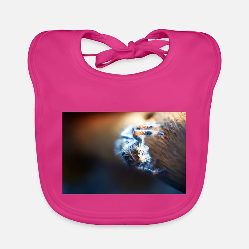 Araignée sauteuse, Phidippus regius, araignée sauteuse Bavoir bio Bébé