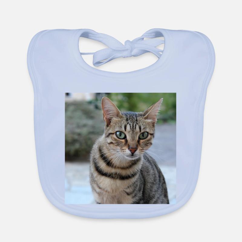 Katze Kätzchen Poster quadratisch Katzenposter Baby Bio-Lätzchen