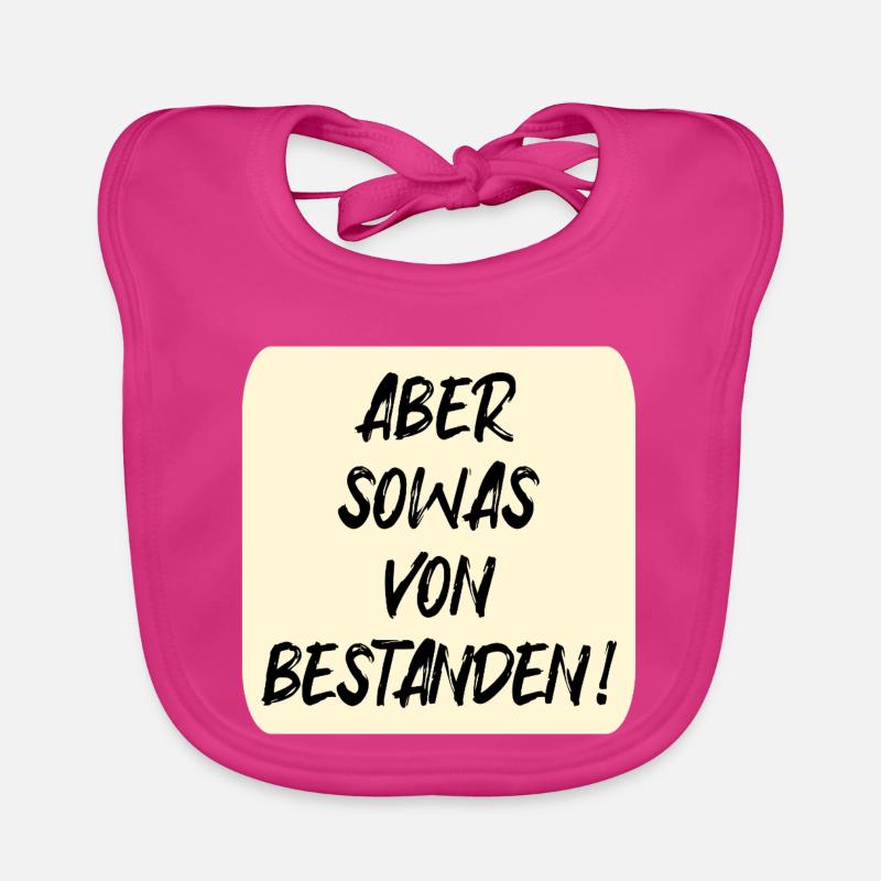 EXAMS PASSED Organic Baby Bibs