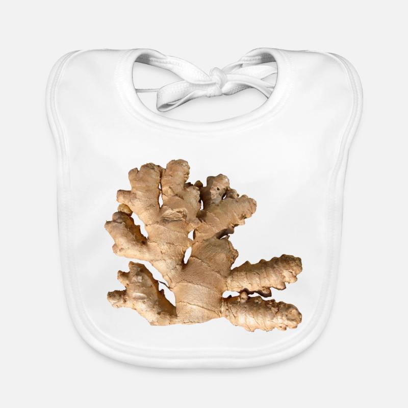 Ginger Organic Baby Bibs