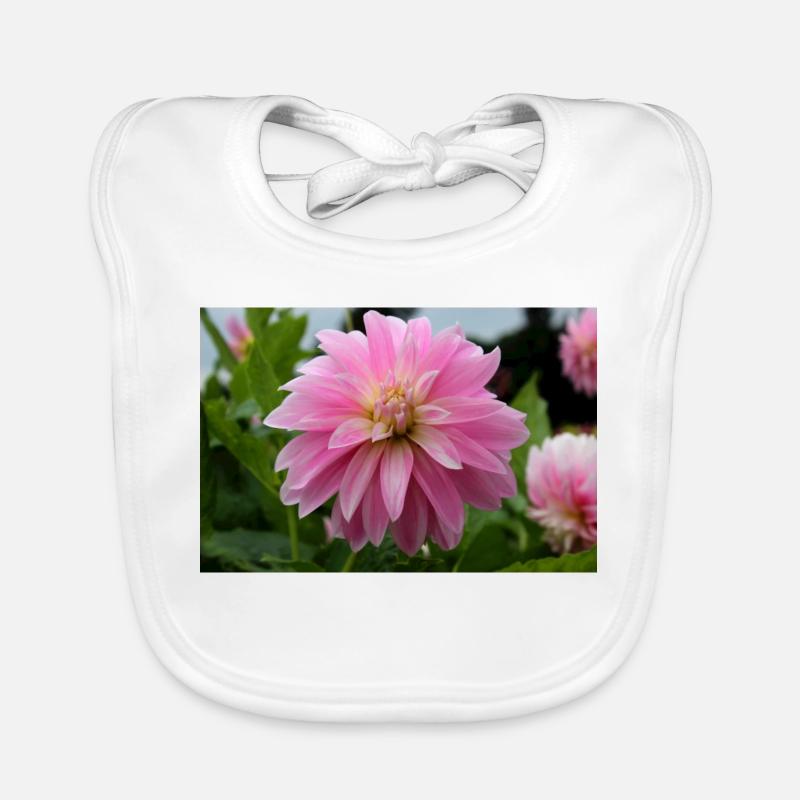 Dahlia rose rose fleur, fleur Bavoir bio Bébé