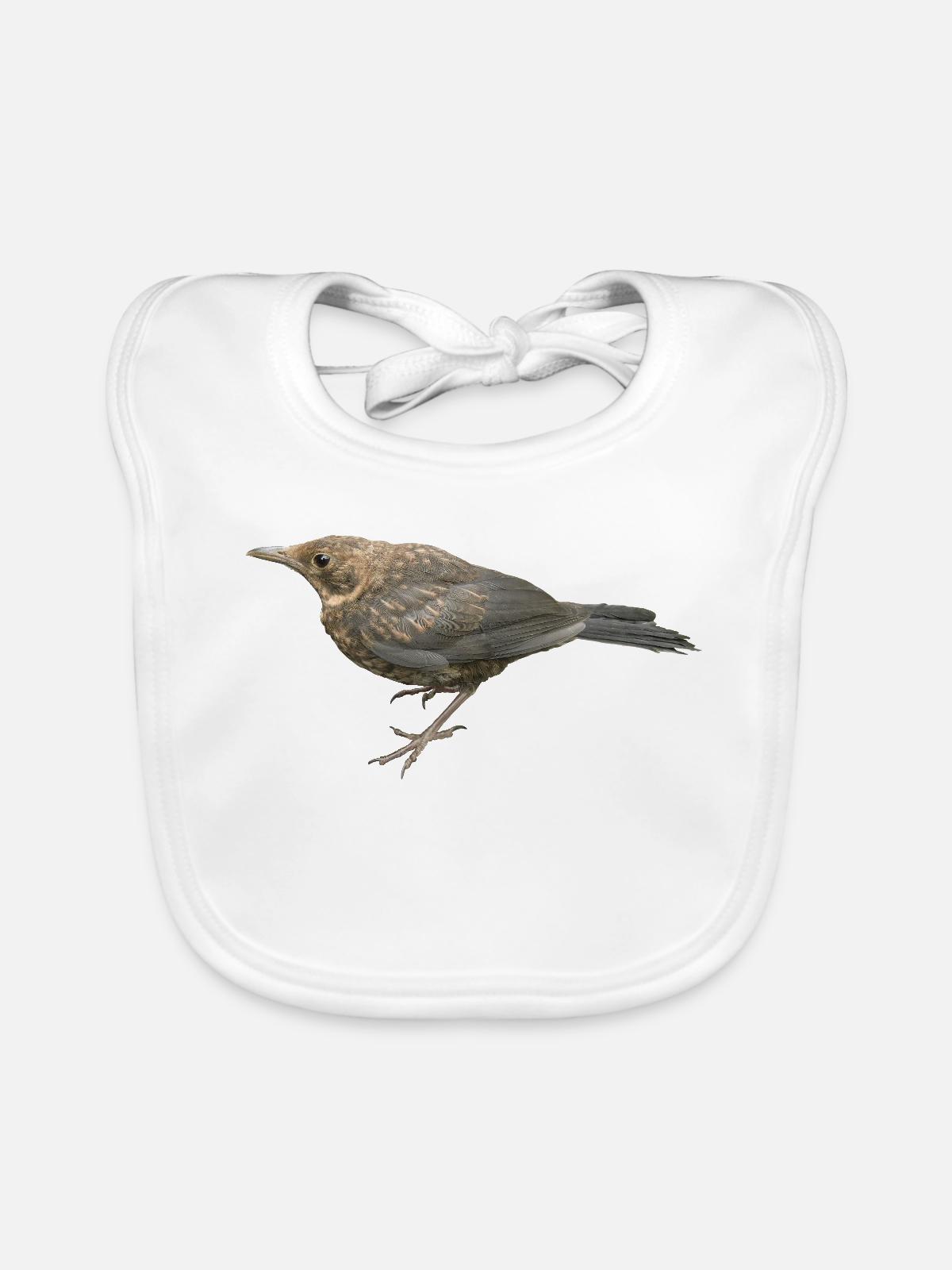 Amsel Jungvogel - Baby Bio-Lätzchen - Weiß - Vorne