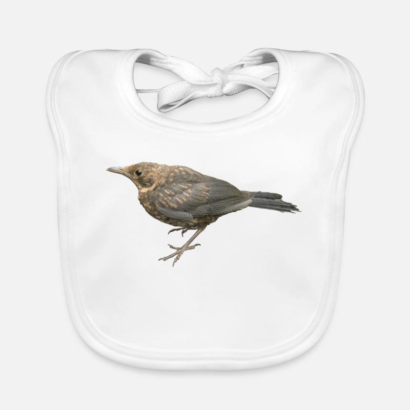 Merle Jeune Oiseau Bavoir bio Bébé