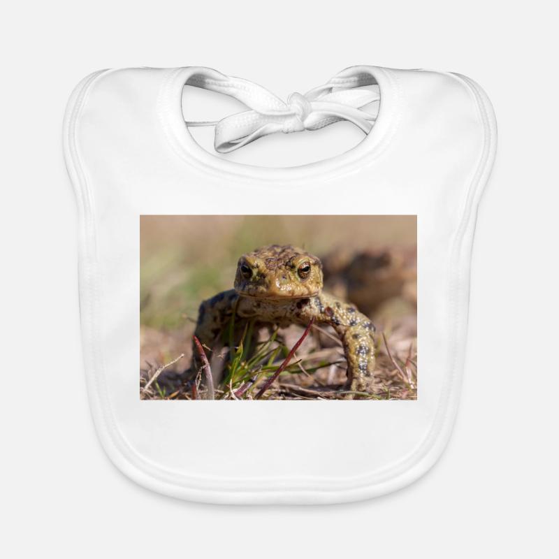 Gros plan d’un crapaud terrestre - Affiche Bavoir bio Bébé