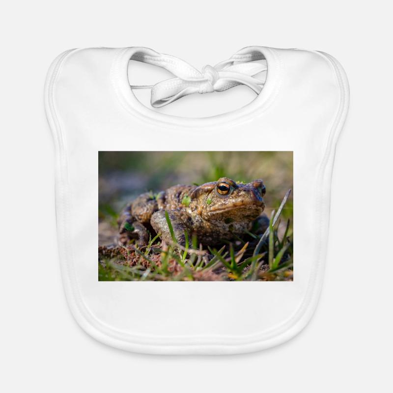 Gros plan d’un crapaud terrestre - Affiche Bavoir bio Bébé
