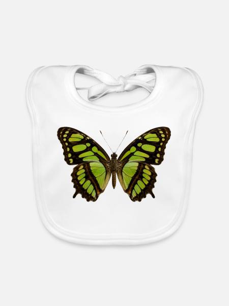 Papillon Malachite Siproeta stelenes Réaliste - Bavoir bio Bébé - blanc - Devant