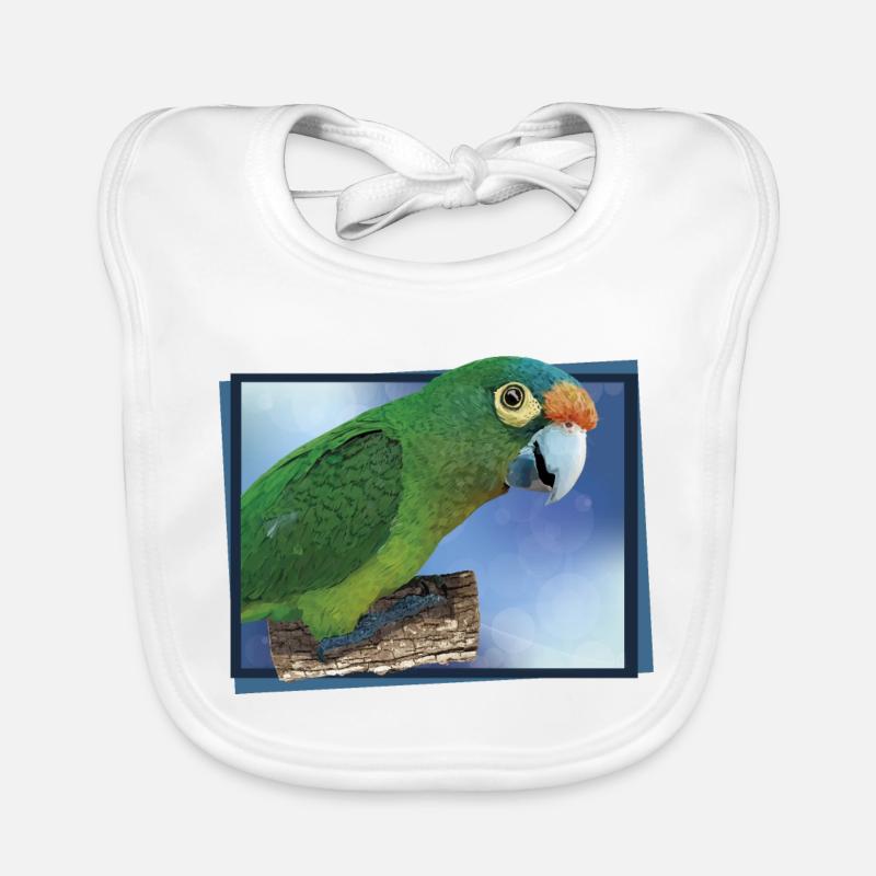 Orange-fronted parakeet Organic Baby Bibs