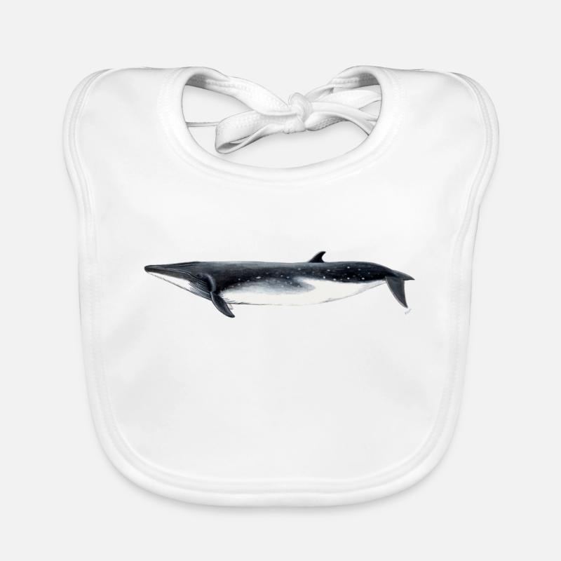 Bryde - Bryde baleine - rorqual tropical - Bavoir bio Bébé - blanc
