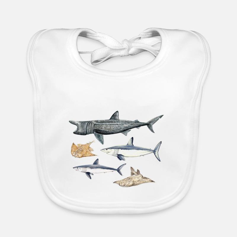 Requins - Requins - Requins - Bavoir bio Bébé - blanc