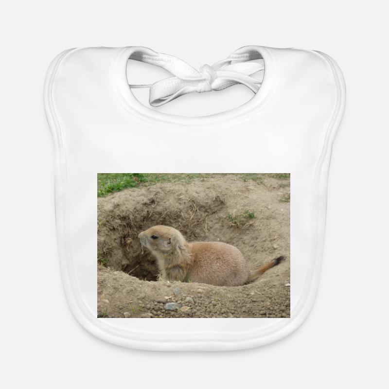 Organic Baby Bibs