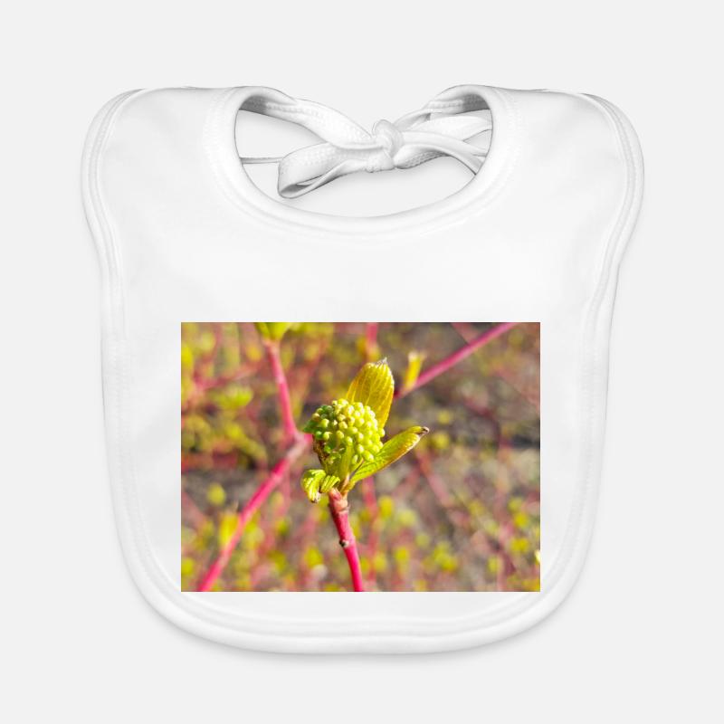 cornioli Hornstrauch Cornus Bavaglino ecologico per neonato