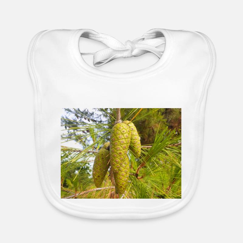 Aleppo pine also Jerusalem pine Aleppo-Kiefer Organic Baby Bibs