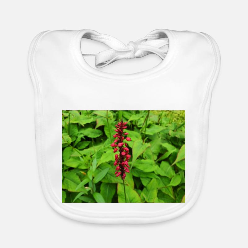 Toison des montagnes Persicaria amplexicaulis Bavoir bio Bébé