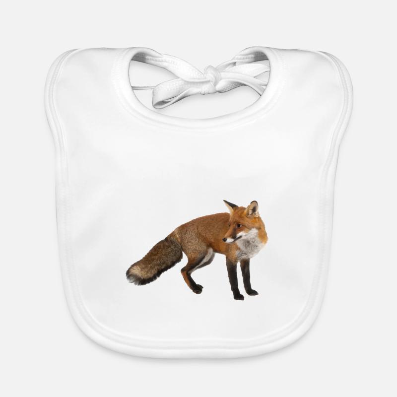 Renard Bavoir bio Bébé