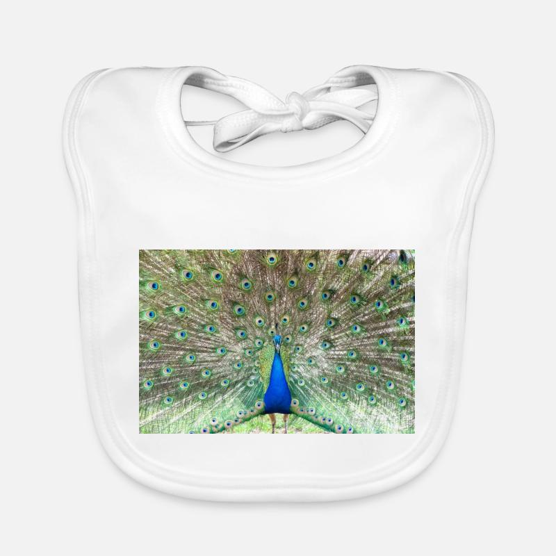 Peacock Bavoir bio Bébé