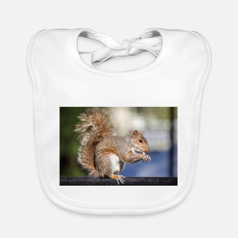 Eating Grey squirrel (in german Grauhörnchen) Organic Baby Bibs