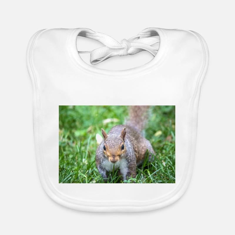 Écureuil gris Grauhörnchen Sciurus carolinensis Bavoir bio Bébé