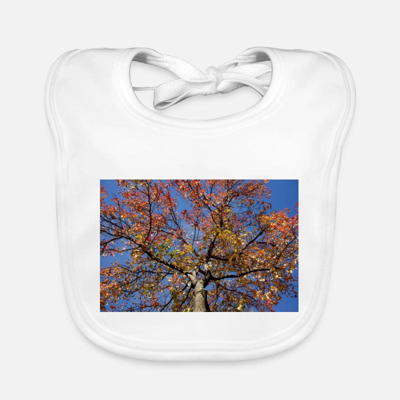 Maple Organic Baby Bibs