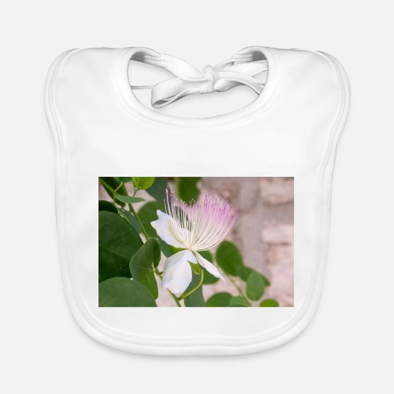 cespuglio di capperi anche Flinders rosa Capparis spinosa Bavaglino ecologico per neonato