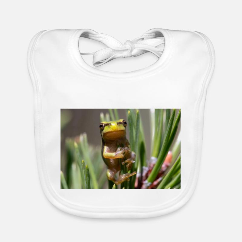 Rainette Bavoir bio Bébé