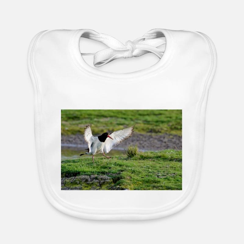 Oyster Catcher Organic Baby Bibs