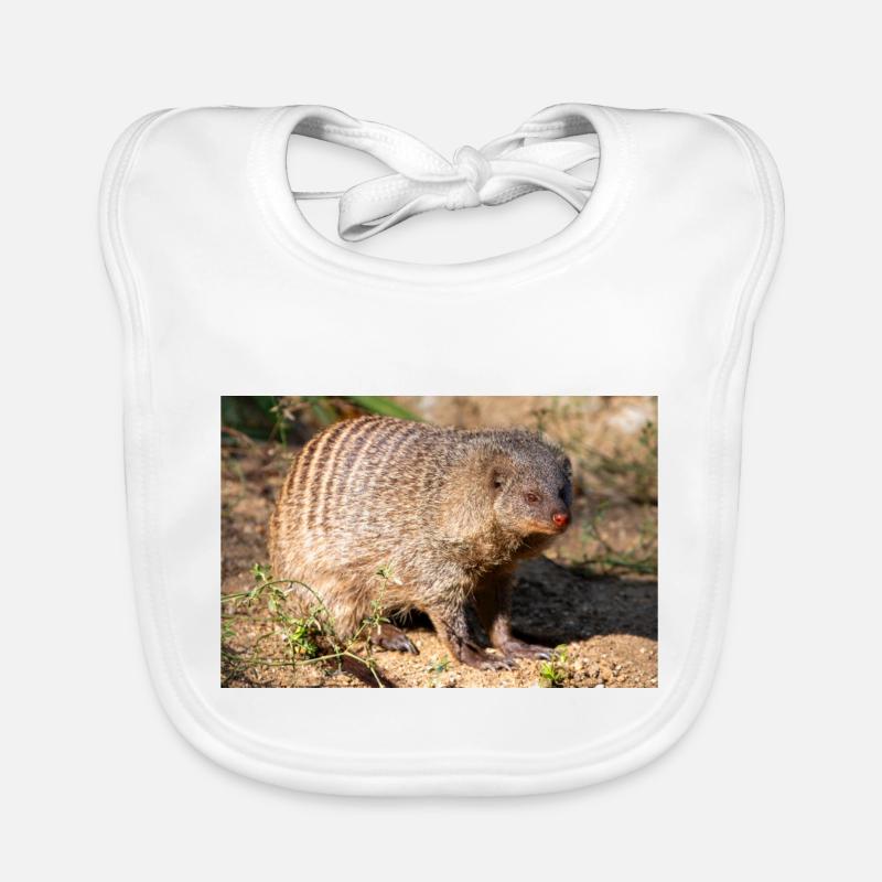 Gebänderte Manguste oder Zebramanguste Zebramanguste Baby Bio-Lätzchen