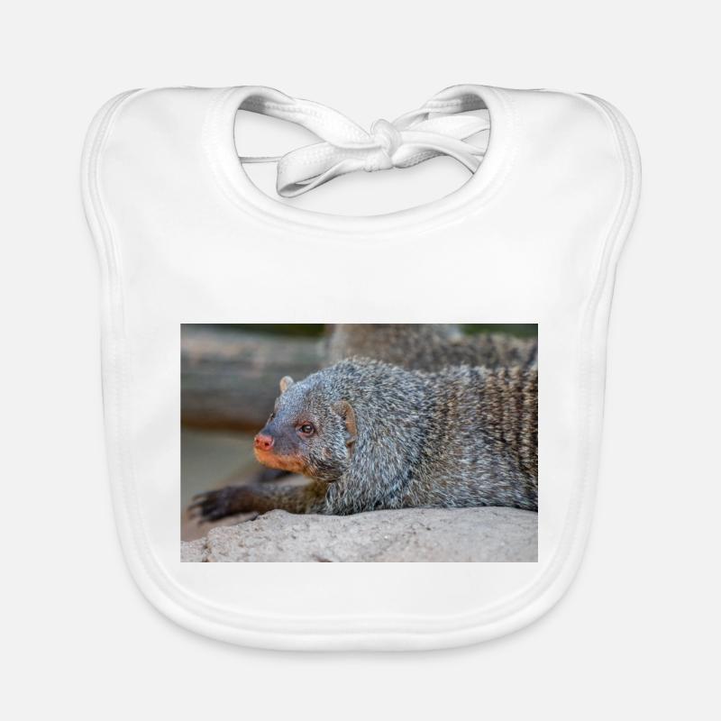 Gebänderte Manguste oder Zebramanguste Zebramanguste Baby Bio-Lätzchen