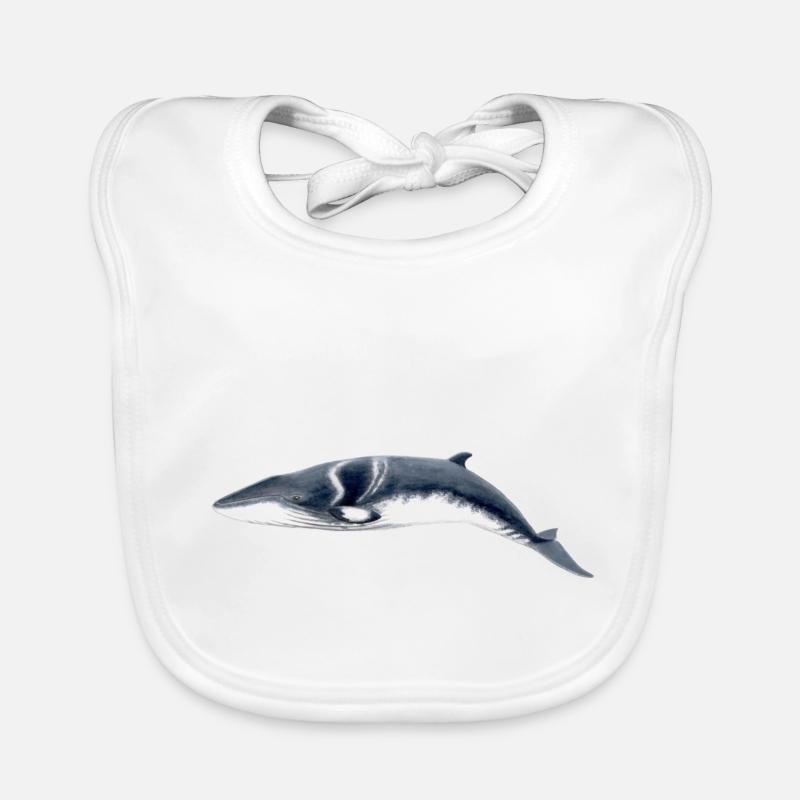 Minke - Petit rorqual - baleine Minke Bavoir bio Bébé