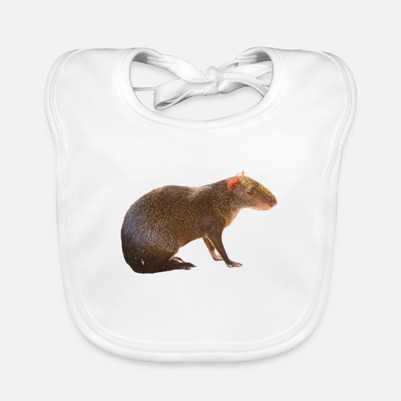 Bavoir bio Bébé