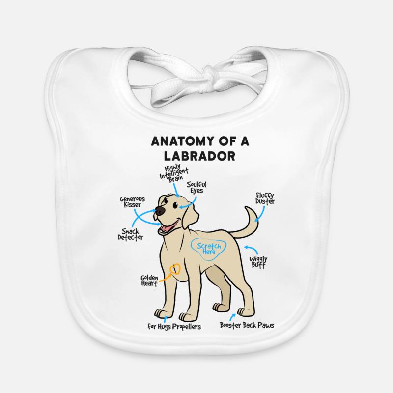 Anatomie Eines Labrador - Baby Bio-Lätzchen - Weiß