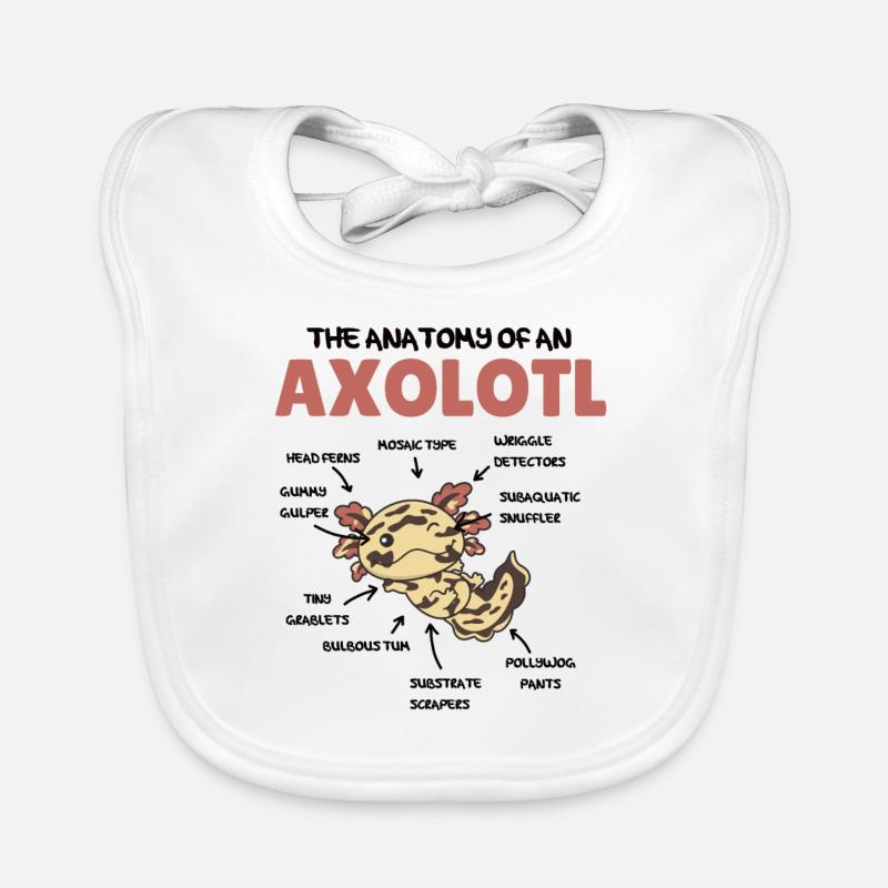 Axolotl Explication Anatomie d’un Axolotl Bavoir bio Bébé