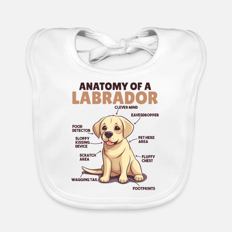 Explication du chien Anatomie d’un Labrador Bavoir bio Bébé