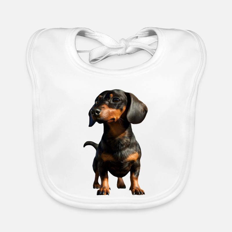 Teckel, Teckel, Teckel miniature, Dachshund Club, Teckel Bavoir bio Bébé