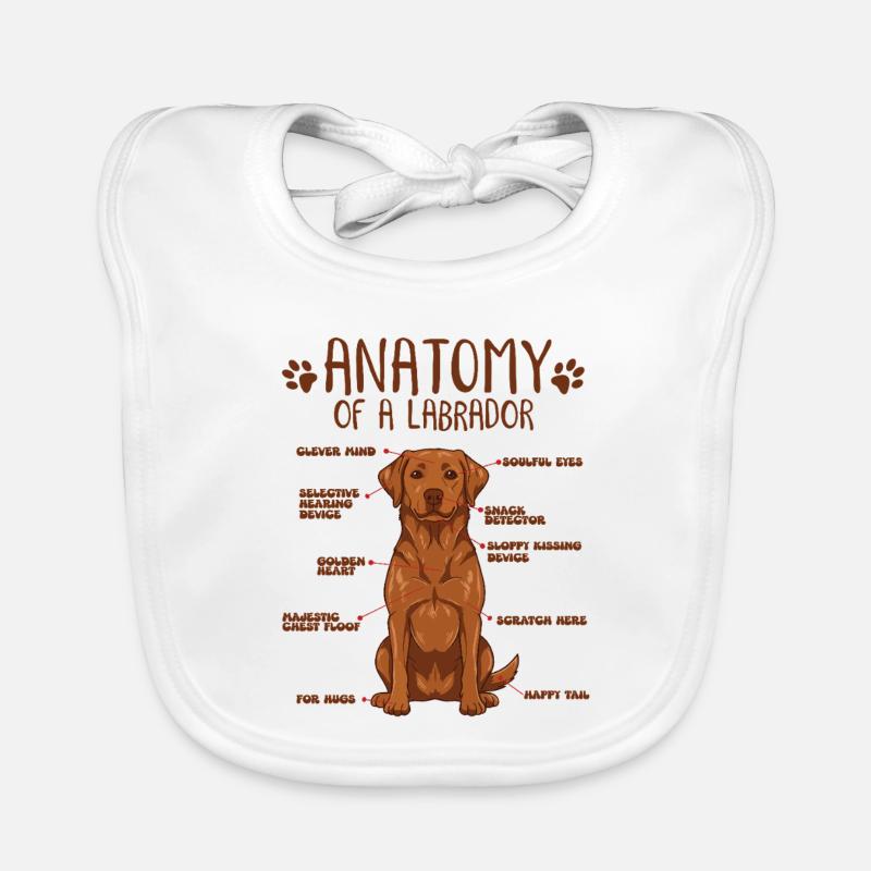 Anatomie eines Fox Red Labradors Baby Bio-Lätzchen