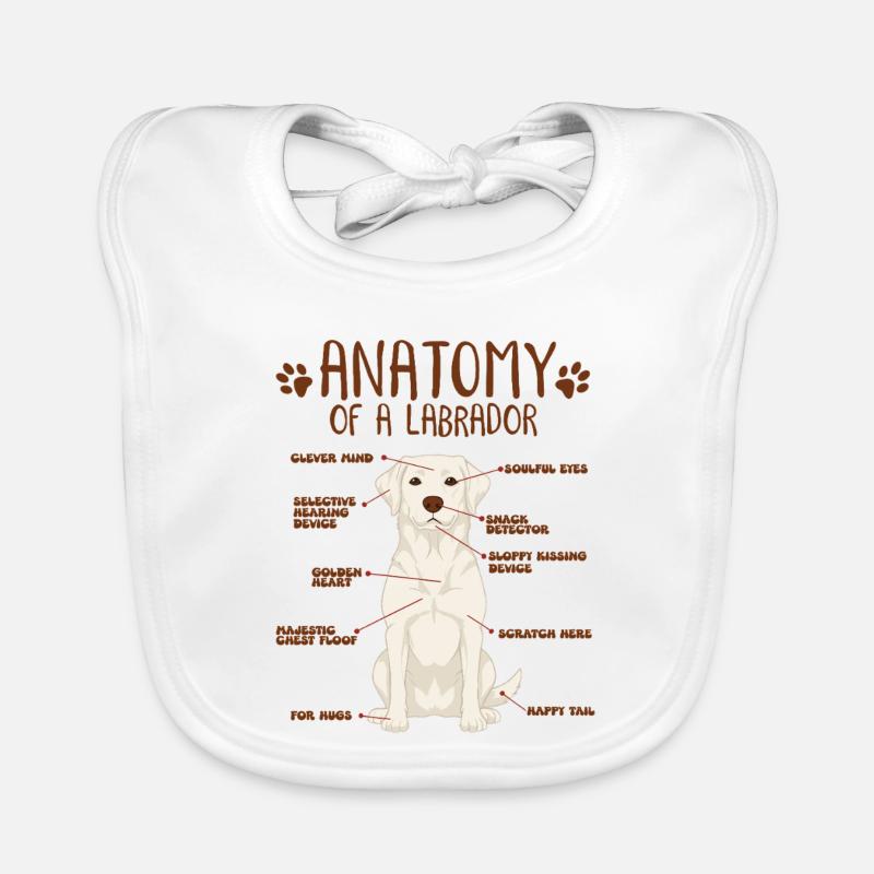 Anatomie d’un labrador blanc Bavoir bio Bébé