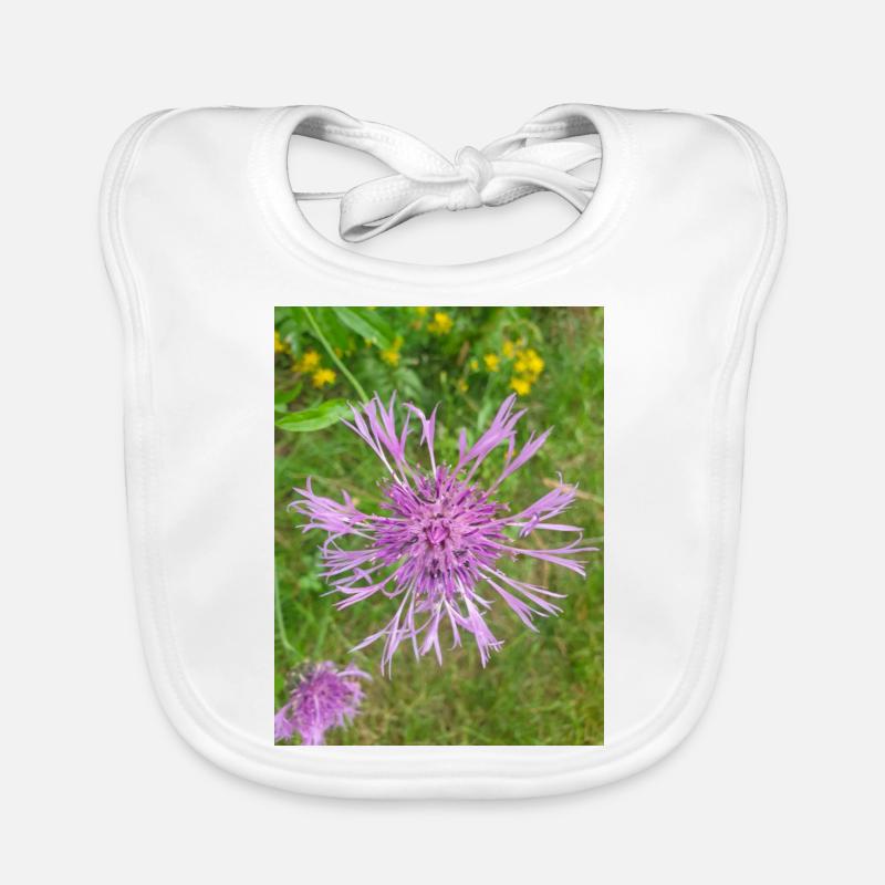 centaurée Centaurea scabiosa Bavoir bio Bébé