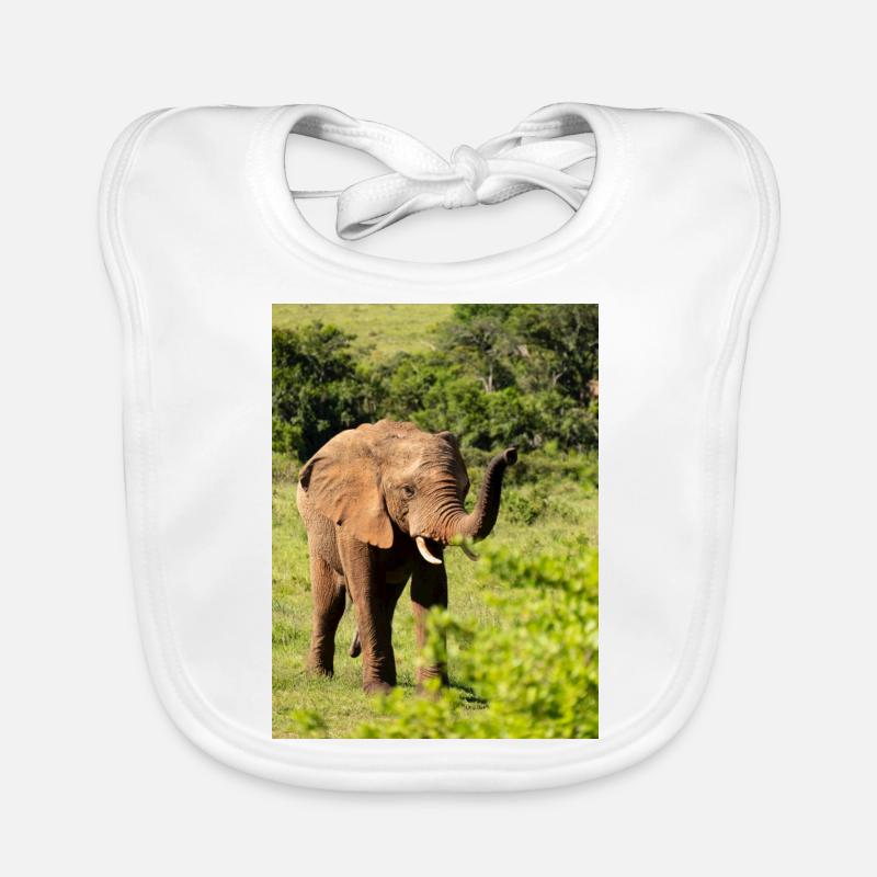 Bavoir bio Bébé