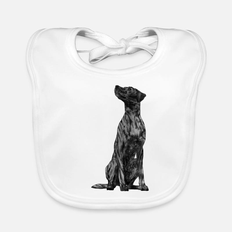 Sitting Plott Hound Dog Organic Baby Bibs