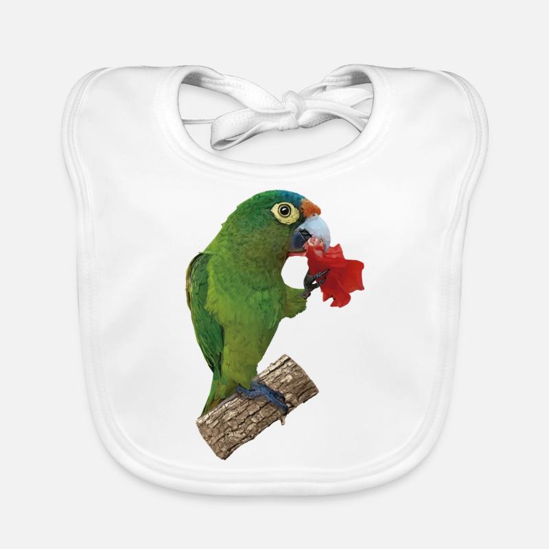 Orange-fronted parakeet Organic Baby Bibs