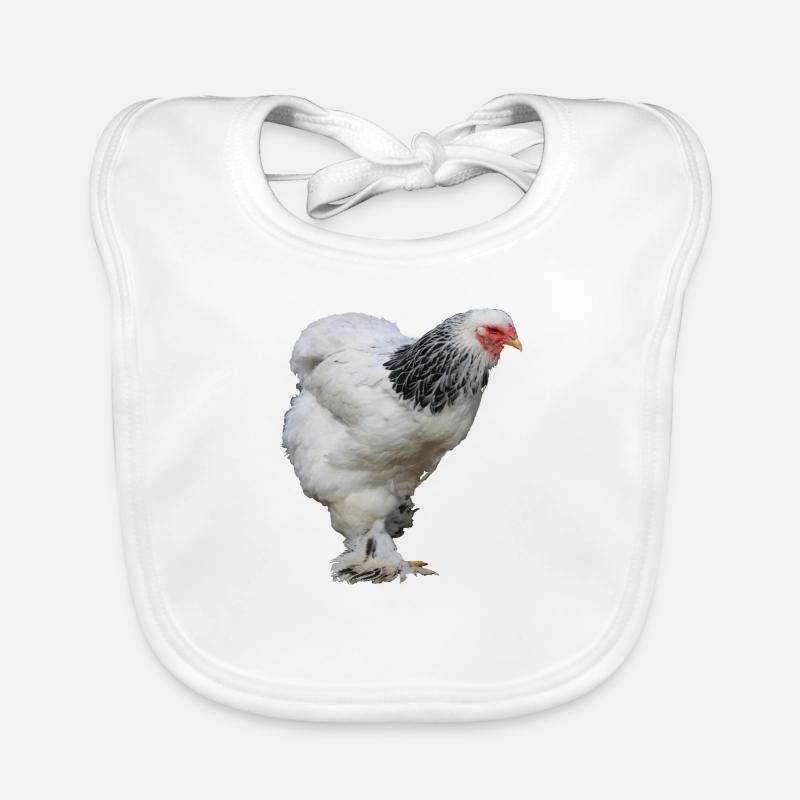 Brahma Organic Baby Bibs