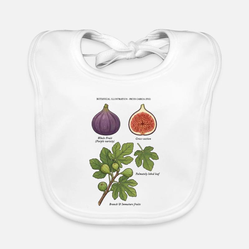 Fig Tree Botanical Study Ficus Carica Organic Baby Bibs