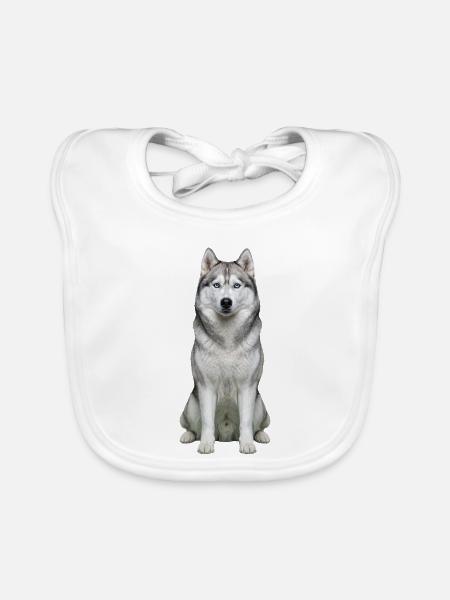 Eises, husky-blauäugiges Porträt - Baby Bio-Lätzchen - Weiß - Vorne