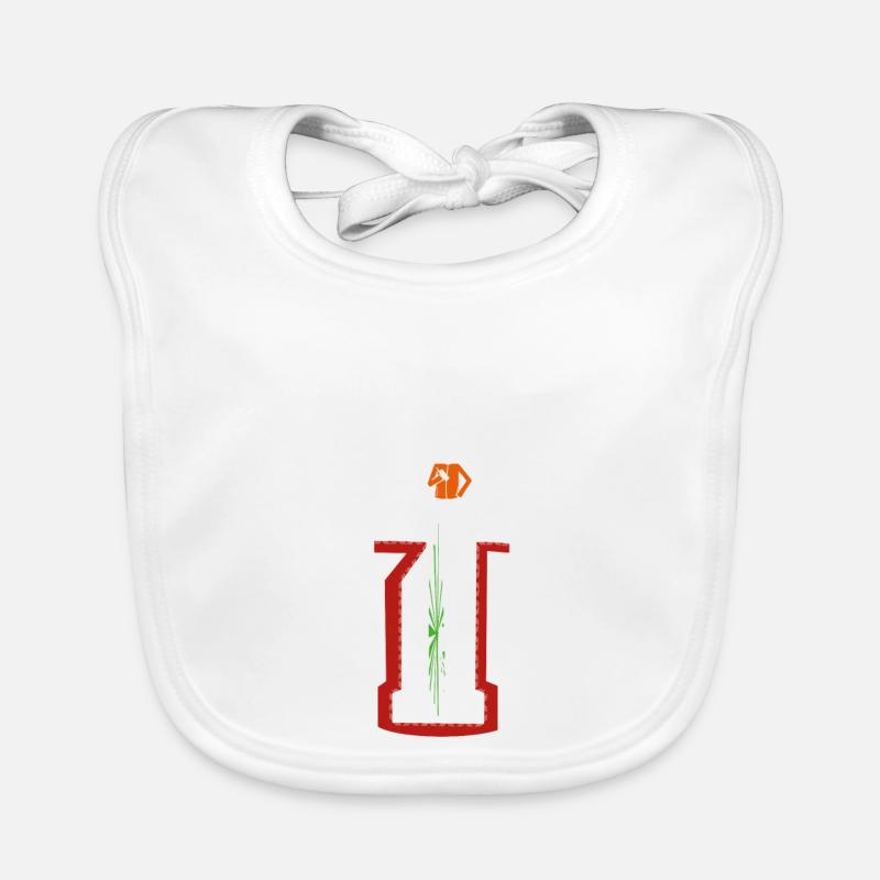 Surveyor Scan Organic Baby Bibs
