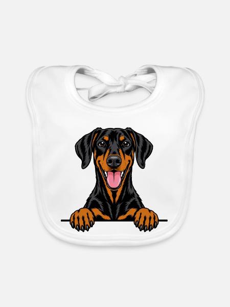 Dobermann Pinscher - Baby Bio-Lätzchen - Weiß - Vorne