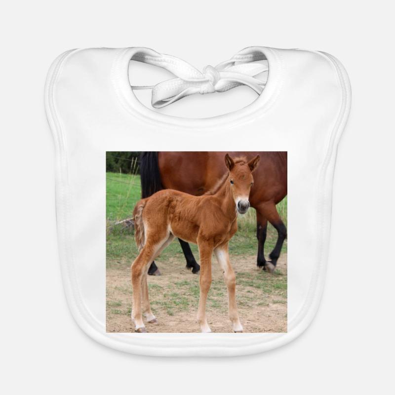 Bavoir bio Bébé