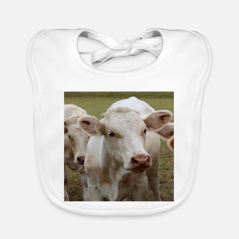 Affiche vache Bavoir bio Bébé
