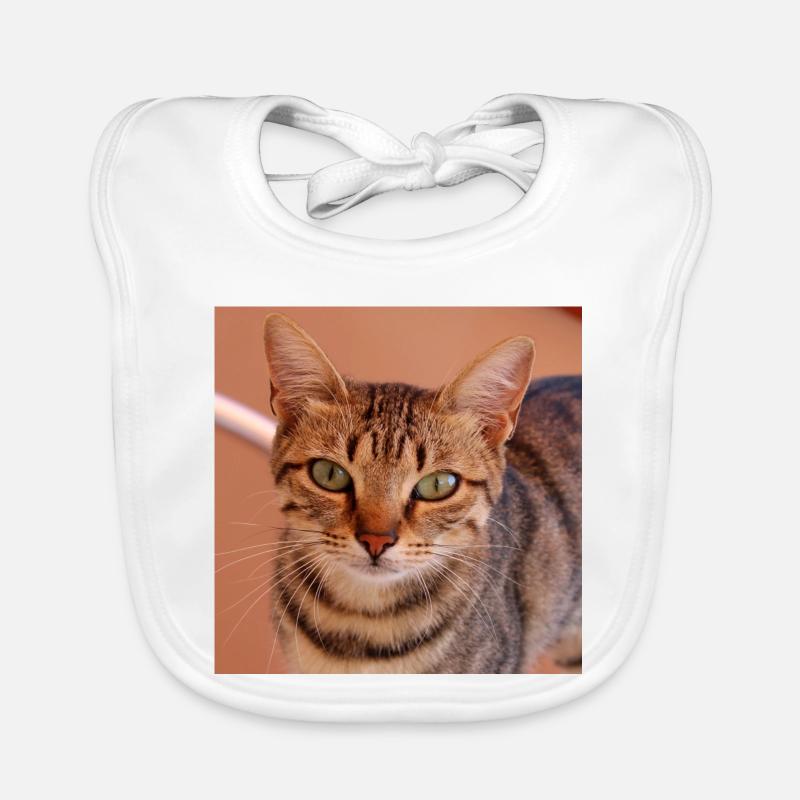 Cat Kitten Poster Square Cat Poster Organic Baby Bibs