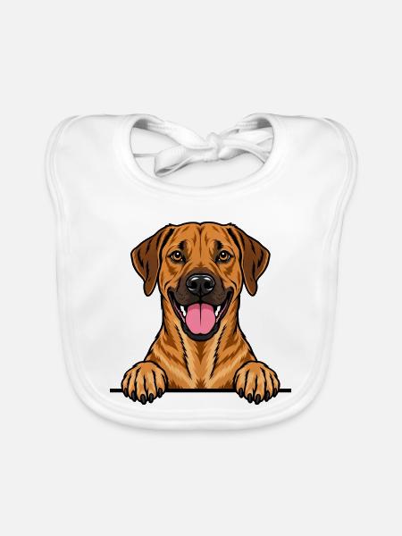Rhodesian Ridgeback - Baby Bio-Lätzchen - Weiß - Vorne