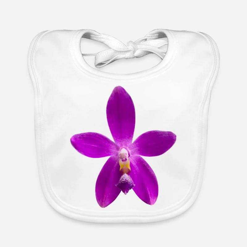 Orchidee Phalaenopsis speciosa x violacea Blüte Baby Bio-Lätzchen